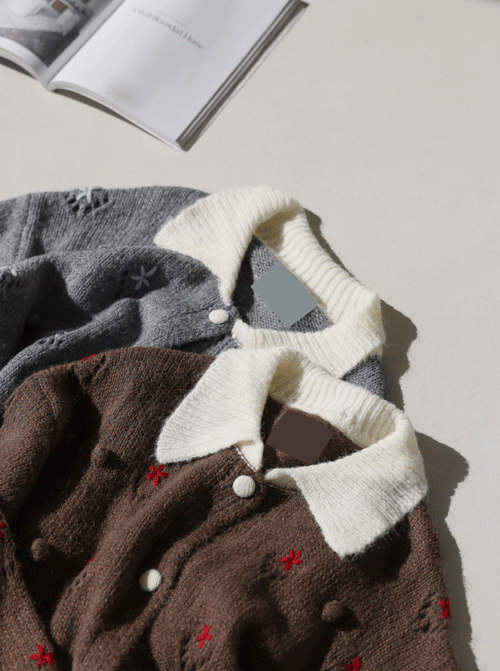 博拉爾敞開的門 C2576