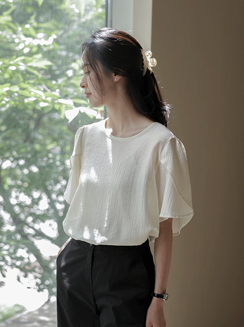 雷吉娜鬱金香 T12725